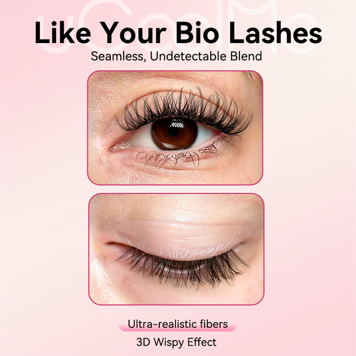 Brown Hazy Natural Wispy Lash Kit